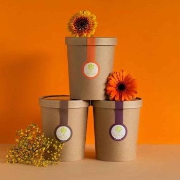 coloration végétale This Green